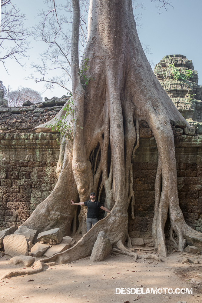 Construcciones abrazadas por la naturaleza, Angkor.