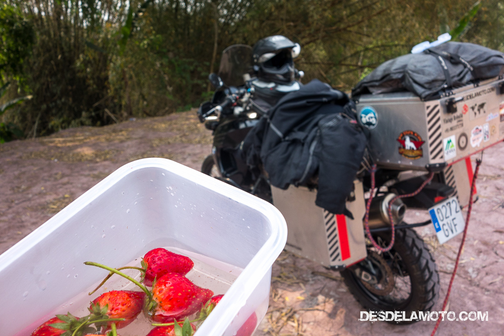 Parada para tomar fresas